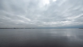 В Балтийское море переселились новые виды рыб