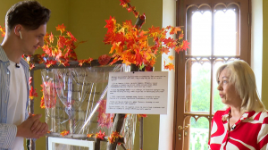 Выставка «Кто виноват? Пушкин!» в Царском Селе