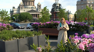 Петербург цветочный. На Исаакиевской площади разбили сад-трансформер