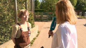 Всемирный день попугая