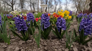 Погружение в атмосферу XVIII века через ароматы в Царском Селе