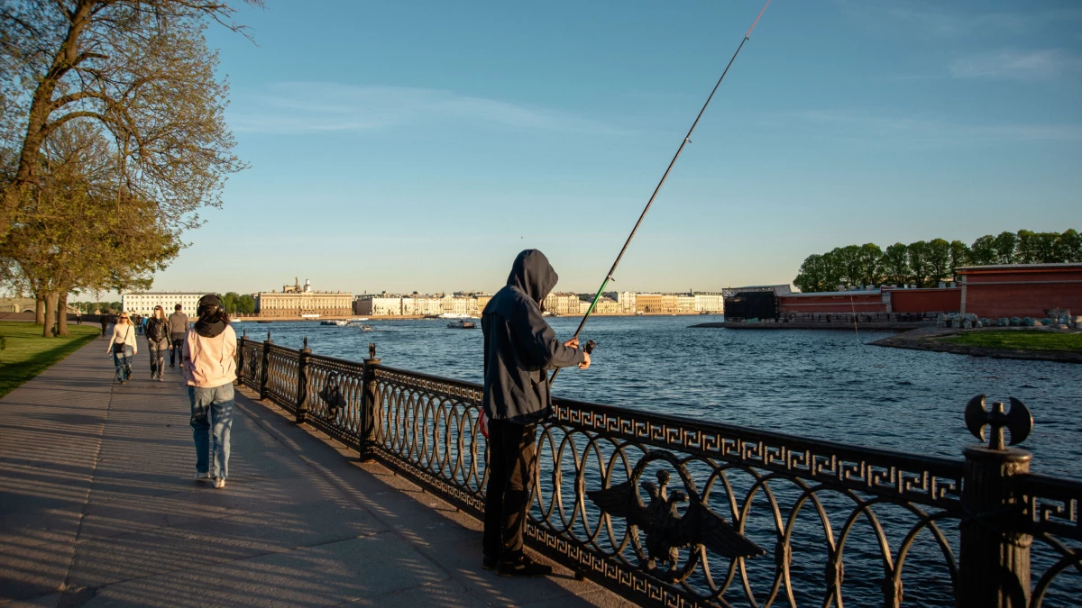 Юрист назвал главные ошибки рыбаков, которые приводят к штрафу - tvspb.ru