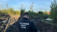 В Петербурге возбудили уголовное дело после обнаружения тела младенца в парке Сосновка