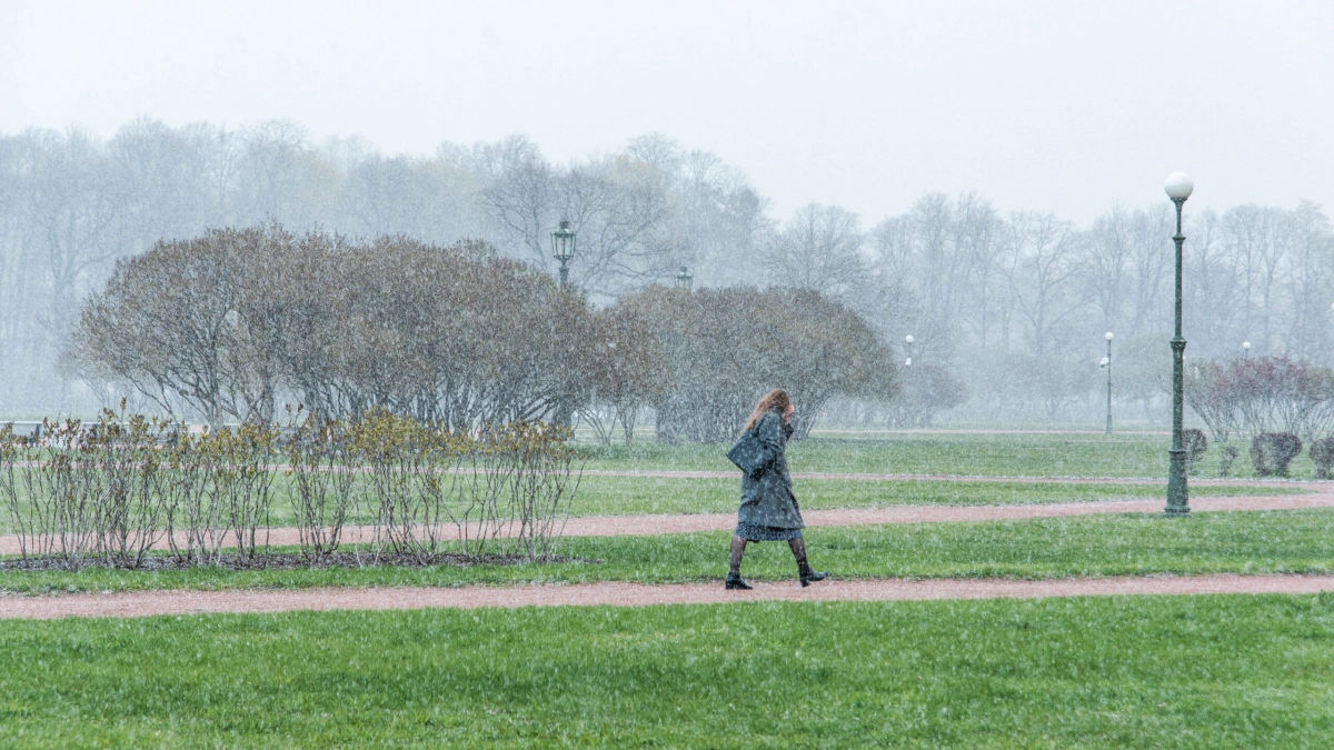 Петербуржцев предупредили о мокром снеге и сильном ветре 27 декабря - tvspb.ru