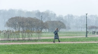 Петербуржцев предупредили о мокром снеге и сильном ветре 27 декабря