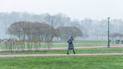 Петербуржцев предупредили о мокром снеге и сильном ветре 27 декабря
