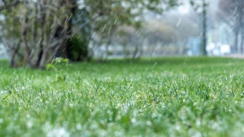 В Петербурге 15 ноября ожидается снег