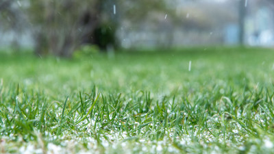 В Петербурге 21 декабря ожидается мокрый снег с дождем