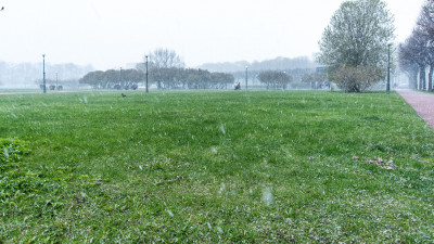 Погода в Петербурге испортится