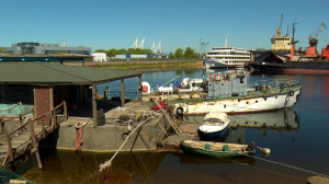 Канонерский остров в рисунках. Художница Мариамна Анкудинова создала путеводитель с аппликациями