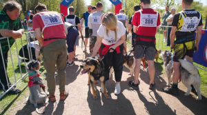 Когда твой хвостатый напарник — чемпион: «Необыкновенный кросс» в Полюстровском парке