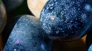 Только натуральная радуга: красим яйца на Пасху с помощью самых распространённых продуктов