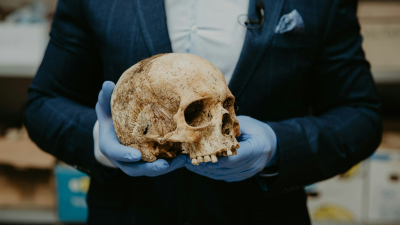 В «Волчьем логове» Гитлера нашли пять человеческих скелетов без конечностей