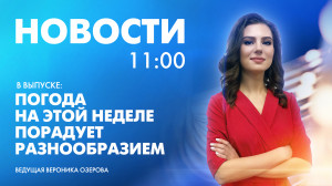 Новости Петербурга к 11:00