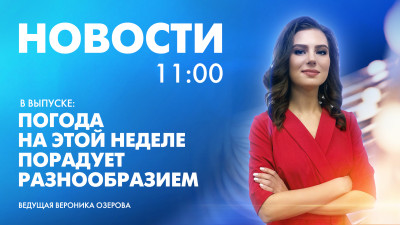 Новости Петербурга к 11:00