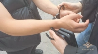 Полиция Петербурга пресекла деятельность «консуматорш» в центре города