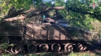 Боевые машины зачистили от противника очередную лесополосу в зоне СВО