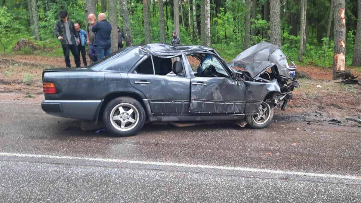 Под Выборгом водитель «Мерседеса» погиб, врезавшись в дерево | Телеканал  Санкт-Петербург