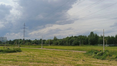 В этом году новые фонари получат 14 петербургских парков, садов и скверов