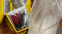 Таможенники задержали лжедоставщика из Петербурга с большой сумкой запрещенных веществ