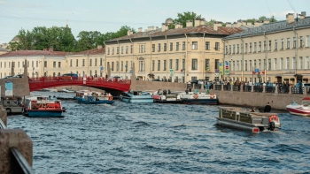 Череп, выловленный из реки Мойки, оказался не человеческим, а кошачьим