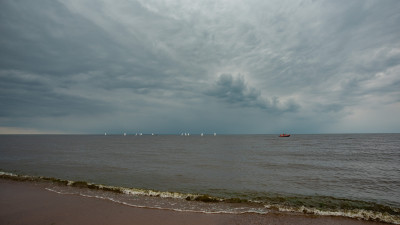 В МЧС предупредили петербуржцев о сильном ветре 20 сентября