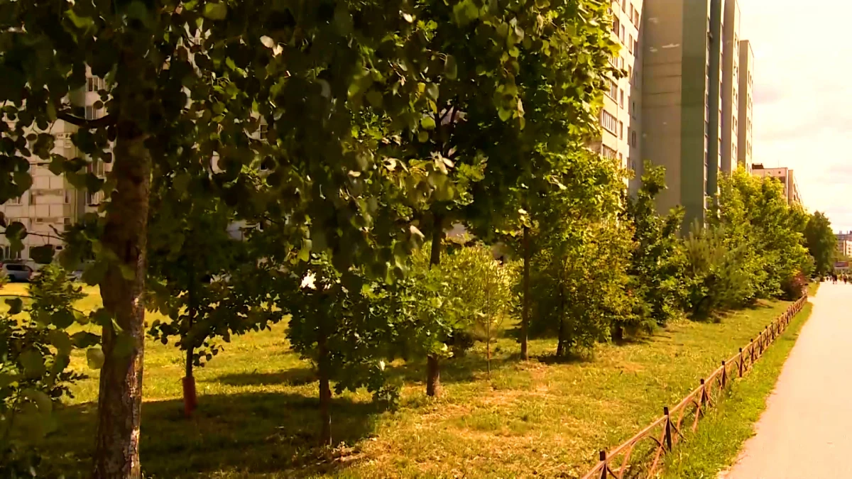 В Петербурге появятся 40 новых парков и общественных пространств - tvspb.ru