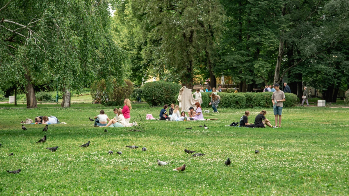 Как организовать пикник на природе без вреда для здоровья — пять простых правил - tvspb.ru