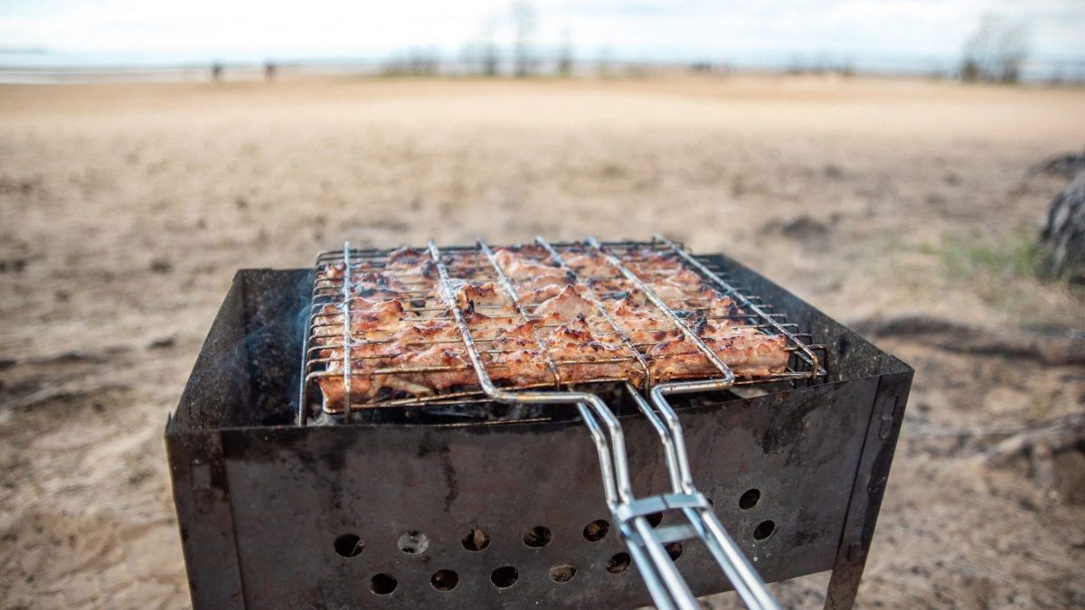 Какой шашлык украсит мангалы россиян на майские - tvspb.ru