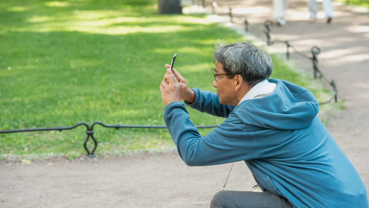 Туроператорам упростили условия работы с дружественными странами - tvspb.ru