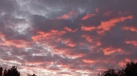 Синоптик Александр Колесов показал необычайно красивый закат в Петербурге и предрек +25 днем