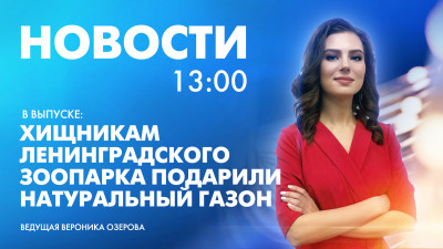 Новости Петербурга к 13:00