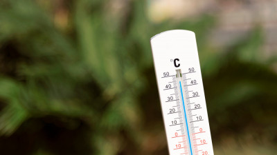 Духота и лихорадка Западного Нила: Ученые заявили, что в Петербурге через 60 лет будет очень жарко