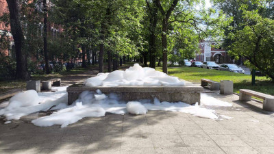 В «Водоканале» призвали петербуржцев бережно относиться к фонтанам