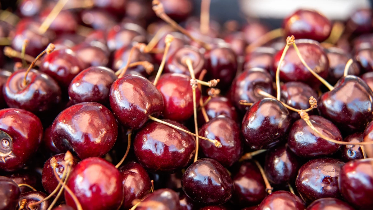 «Кот в мешке»: как при покупке понять, что черешня будет червивая - tvspb.ru