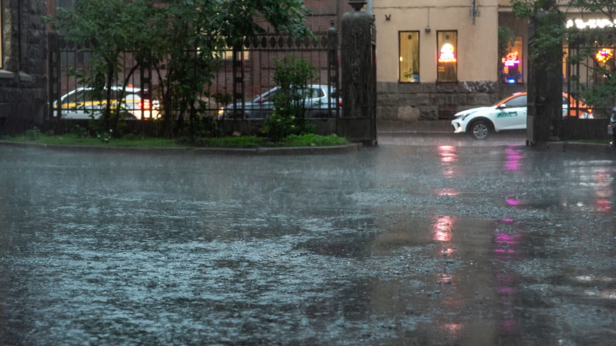 Ливни и порывистый ветер: чего ждать от погоды в Петербурге 26 августа - tvspb.ru