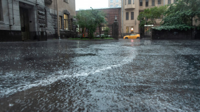Дожди и грозы ожидаются в Петербурге в пятницу