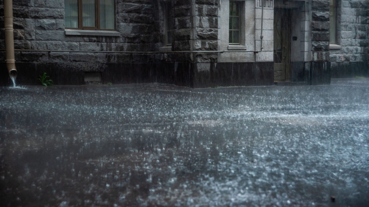 Синоптик Колесов: 28 ноября в Петербург придут тепло и дождь - tvspb.ru