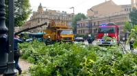 Пилорама на Суворовском: в Петербурге ликвидируют последствия урагана
