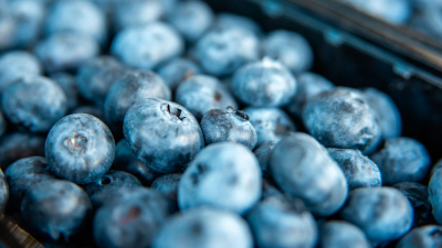 Ягоды и овощи синего цвета: как они защищают от рака