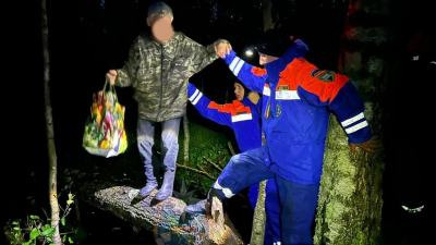 Спасатели всю ночь искали мужчину в лесу Тосненского района