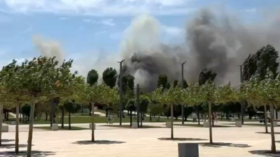 В Краснодаре потушили пожар в парке Галицкого