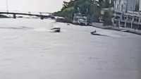 Появилось видео столкновения катера и гидроцикла у Лазаревского моста
