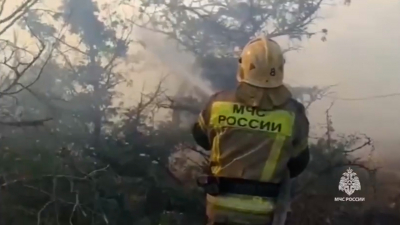 Лесной пожар в Дюрсо перешел на территорию трех баз отдыха – людей эвакуировали