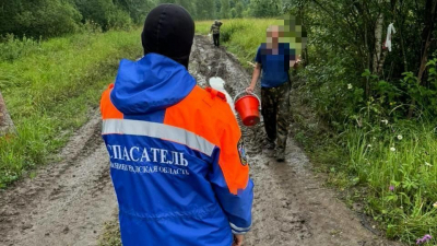 Спасатели вывели заблудившихся мужчин из леса в Ленинградской области