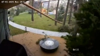 Экспресс-лесоповал: посмотрите, как ветер косил сосны в посёлке под Петербургом