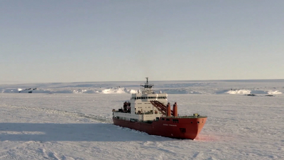 В Петербург из антарктической экспедиции вернулось судно «Академик Трёшников»