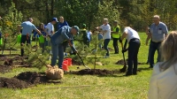 Более 6 тысяч деревьев и кустарников высадили петербуржцы в рамках международной акции «Сад памяти»