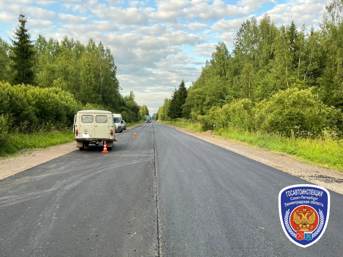 Дорожный рабочий попал в больницу после ДТП на автодороге Кемполово – Шапки - tvspb.ru