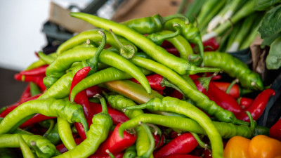 В Роспотребнадзоре рассказали, помогает ли острая пища бороться с бактериями и вирусами